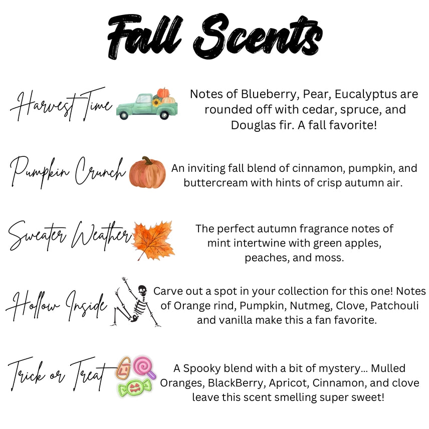 Fall Scent Car Diffusers | 18 Scents