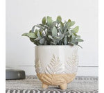 Fern Pattern Planter