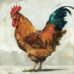 Rooster Giclee Canvas Art | 14x14