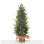 Fresh Conifer Pine Tree | Large