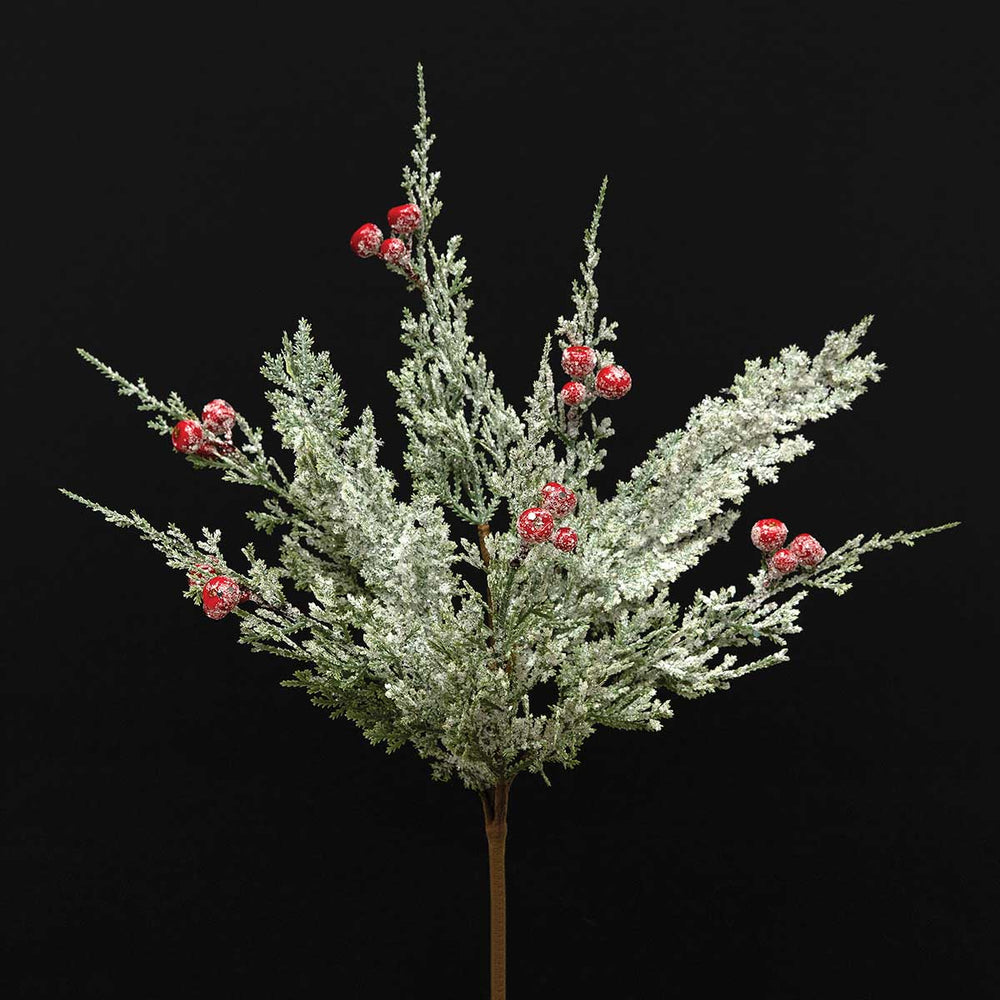 Frost Cedar Berry Stem | Bundle of 3