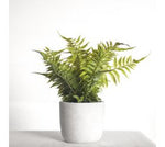 Faux Fern + Cement Pot