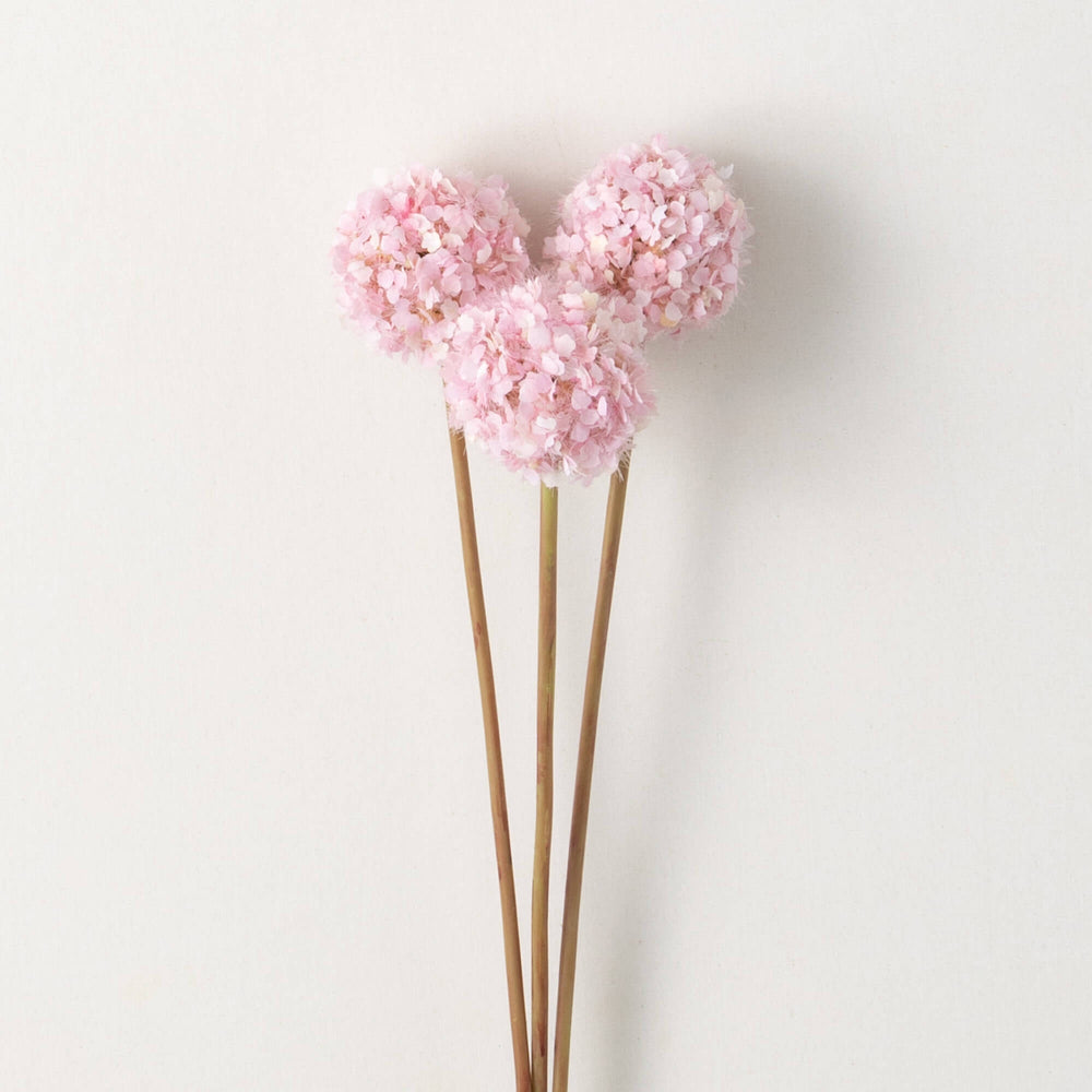 Allium Bunch | Hot Pink