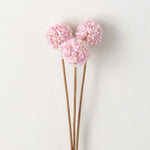 Allium Bunch | Hot Pink