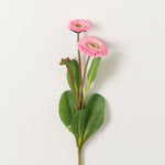 Primrose Stem | Pink