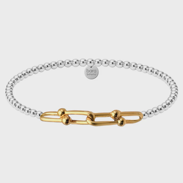 4X Chunky Paperclip | 2-tone | Large